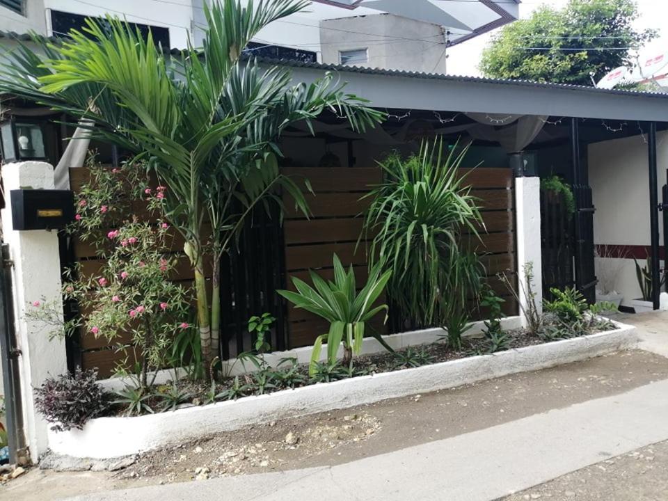 Cozy Inn Mactan Lapu-Lapu City Eksteriør billede